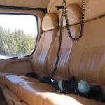 Image of AS350 Single Squirrel