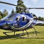 Image of AS350 Single Squirrel